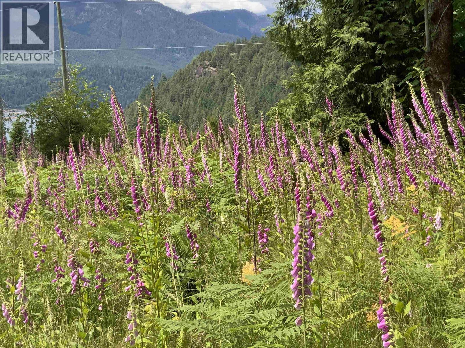 Lot I Cotton Bay Road, Gambier Island, British Columbia  V0N 1V0 - Photo 13 - R3130137