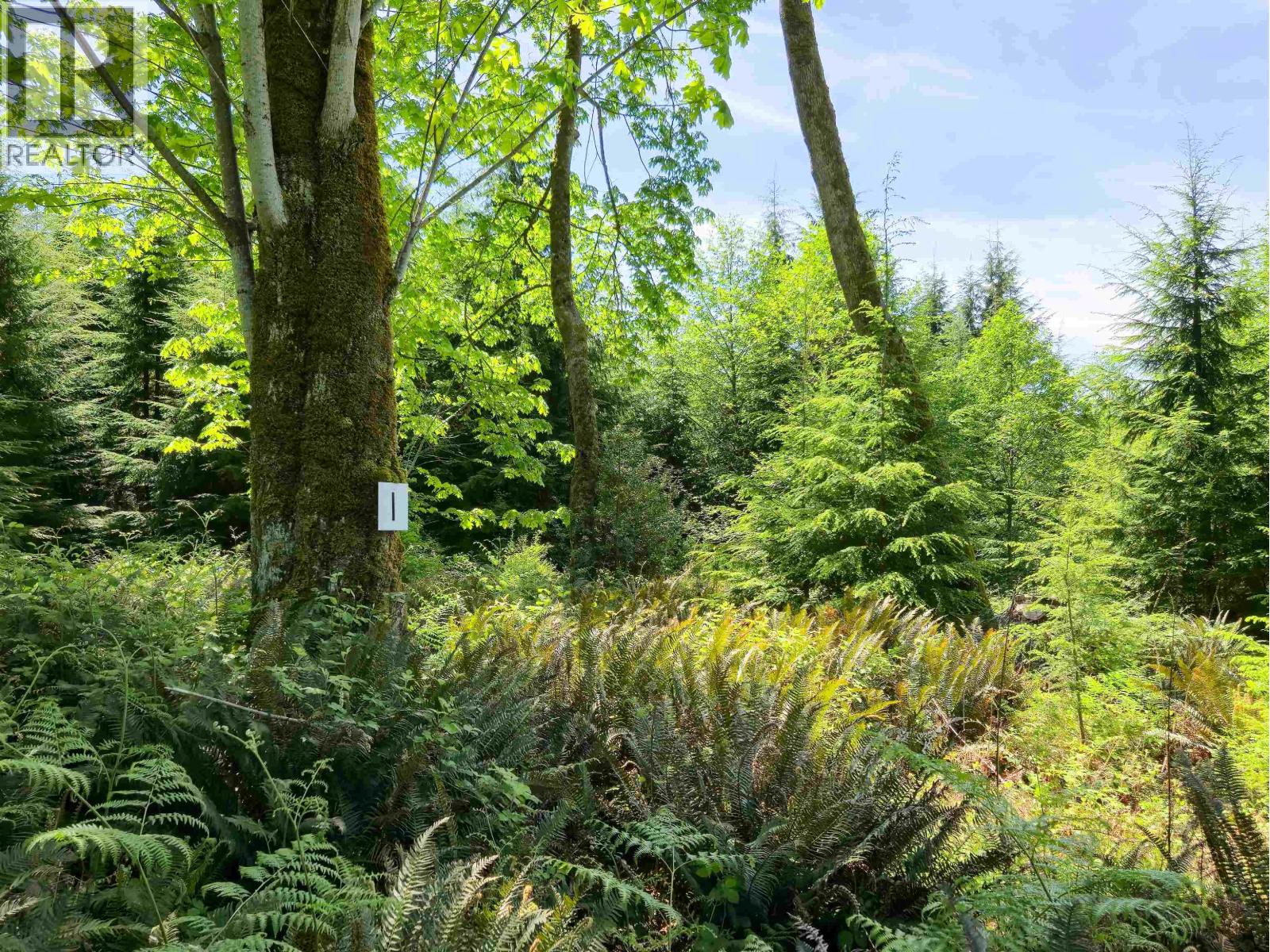 Lot I Cotton Bay Road, Gambier Island, British Columbia  V0N 1V0 - Photo 18 - R3130137