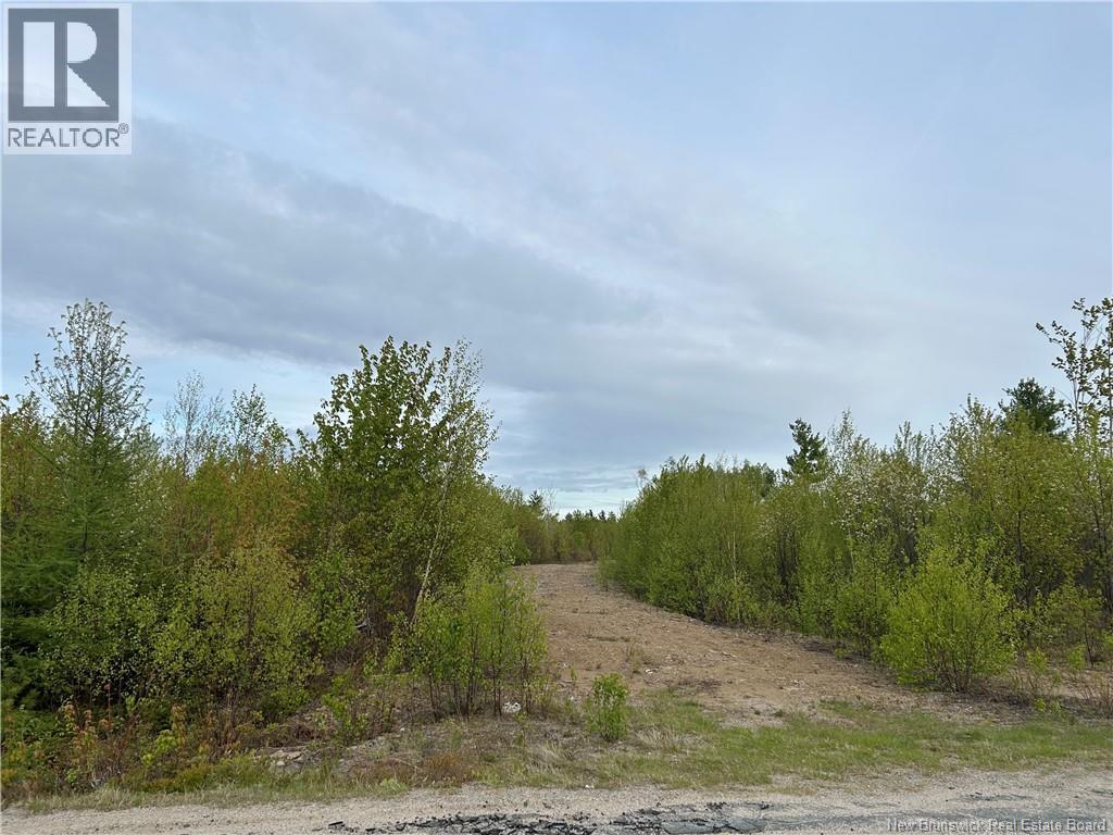 Lot Weaver Siding Road, Upper Blackville, New Brunswick  E9C 1R1 - Photo 6 - NB140811