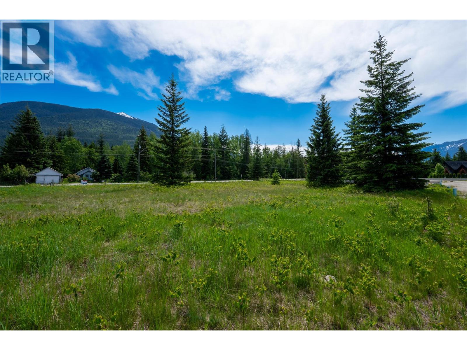 2006 Lanzo Lane, Revelstoke, British Columbia  V0E 2S1 - Photo 6 - 10389108