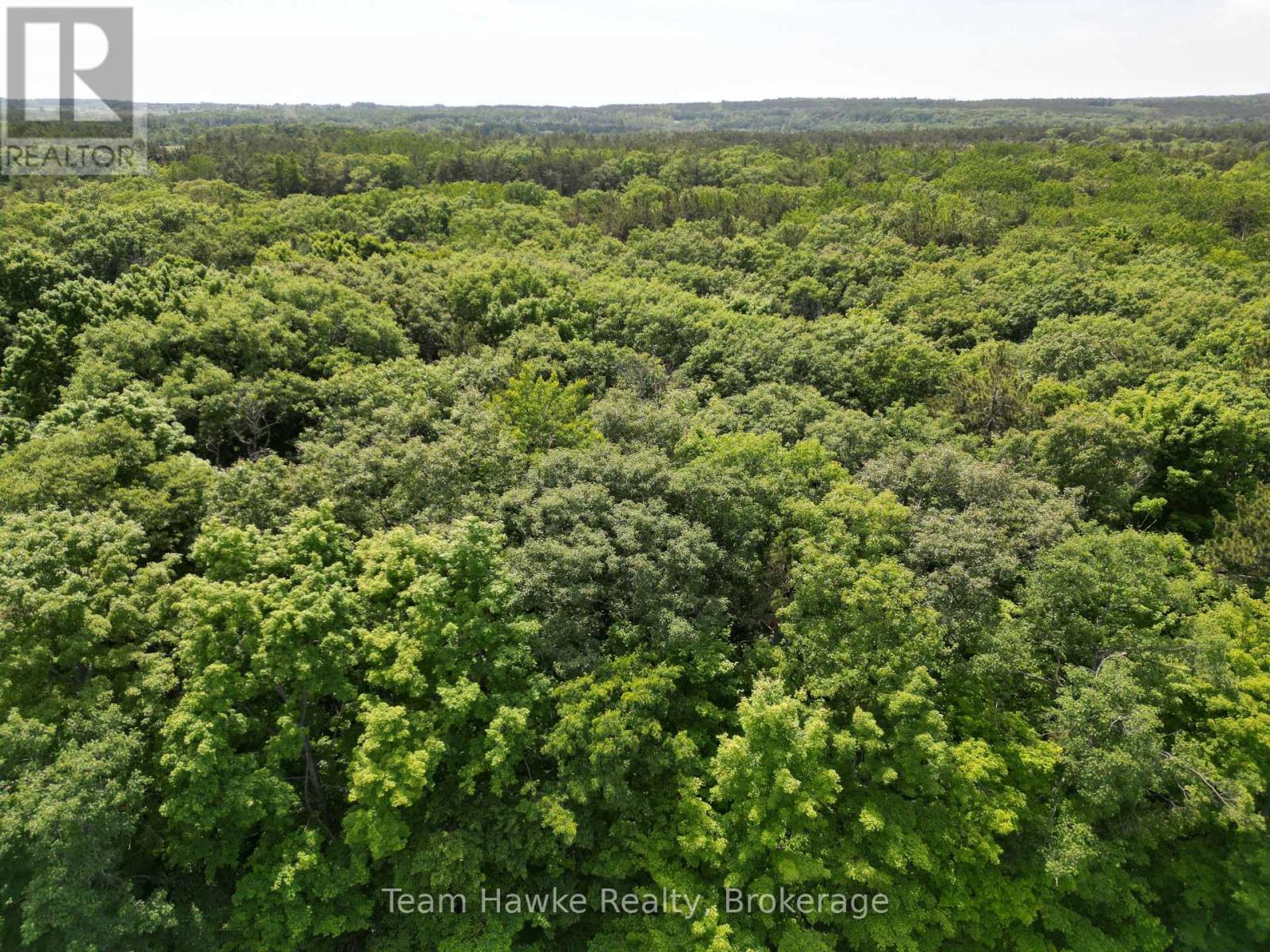 5 Overhead Bridge Road, Tiny, Ontario L0L 2J0 - Photo 5 - S13223268
