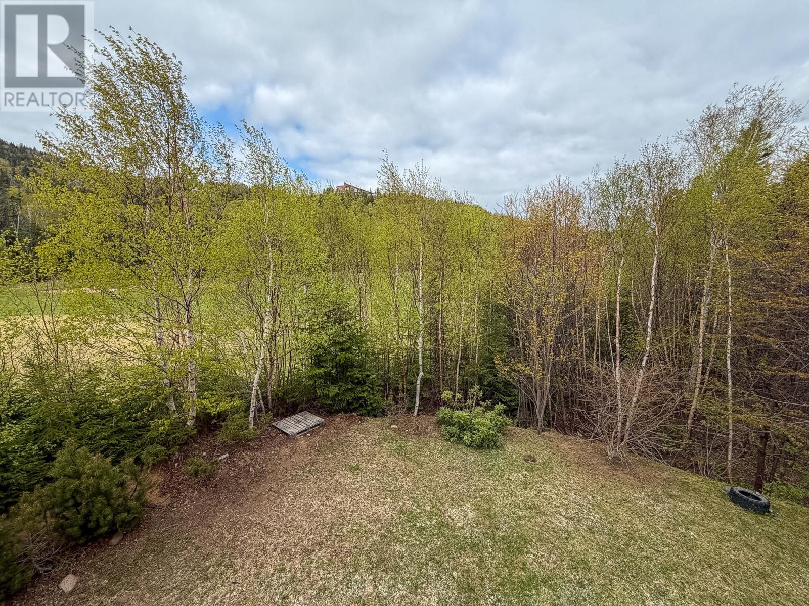 5 Spruce Grove, Humber Valley Resort, Newfoundland & Labrador  A2H 0E1 - Photo 48 - 1298184