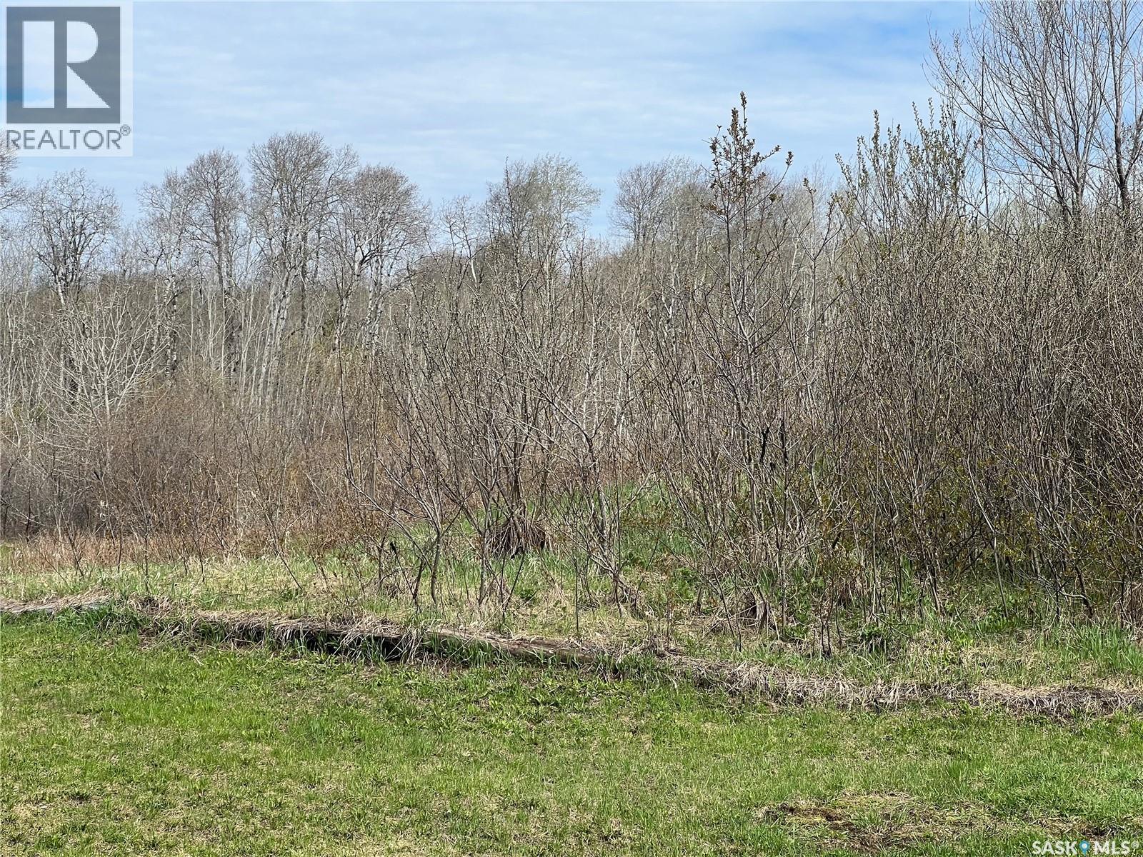 Murray Acreage, Porcupine Rm No. 395, Saskatchewan  S0E 1H0 - Photo 5 - SK037795