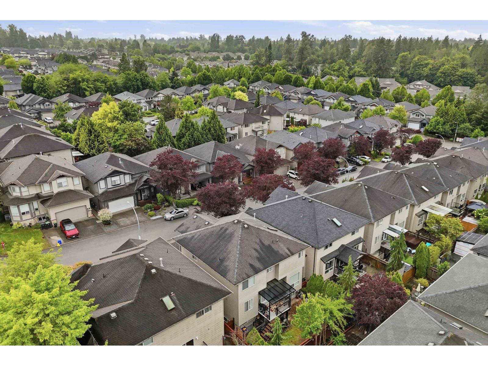 21683 89a Avenue, Langley, British Columbia  V1M 4C7 - Photo 4 - R3130086