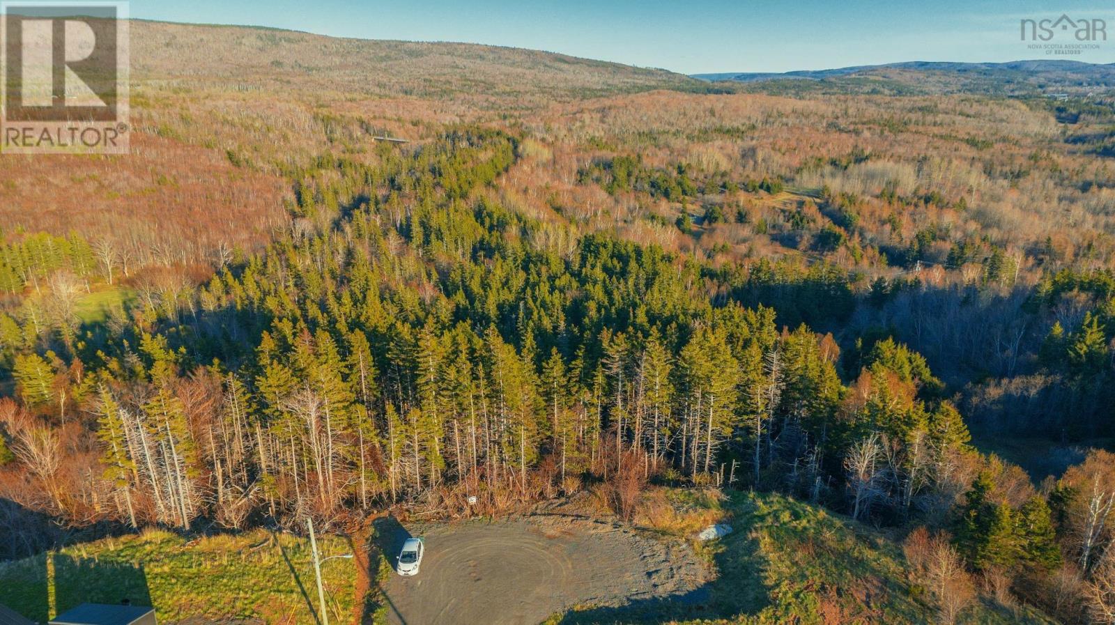 Acreage Silverwood Lane, Inverness, Nova Scotia  B0E 1N0 - Photo 43 - 202524755