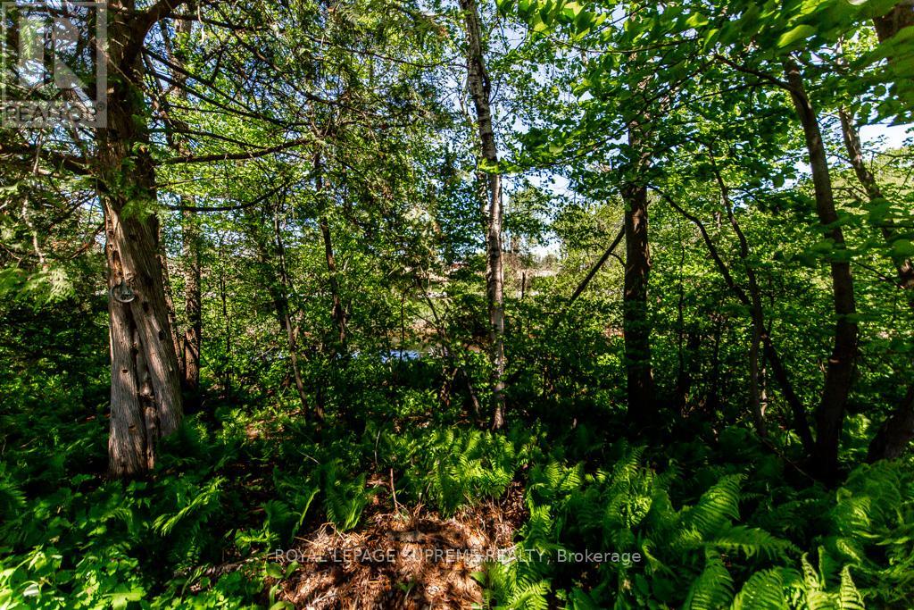 408 - 285 Crydermans Side Road, Georgina, Ontario  L0E 1A0 - Photo 39 - N13223080