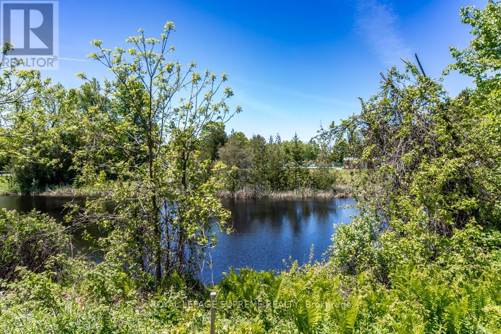 408 - 285 Crydermans Side Road, Georgina, Ontario  L0E 1A0 - Photo 46 - N13223080