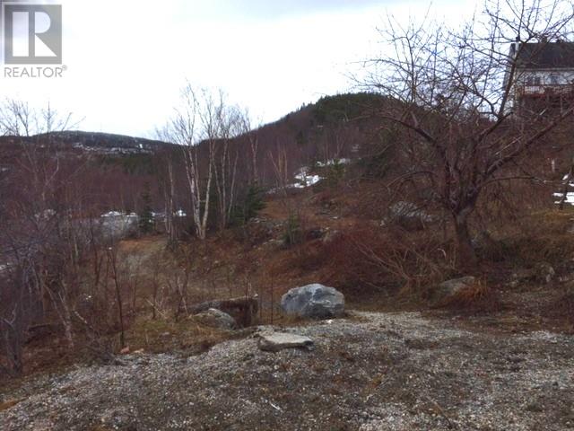 0 Gale Street, Corner Brook, Newfoundland & Labrador