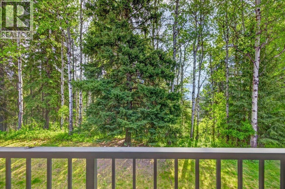 1286 Ponderosa Drive Unit# 313, Sparwood, British Columbia  V0B 2G2 - Photo 24 - 10389599