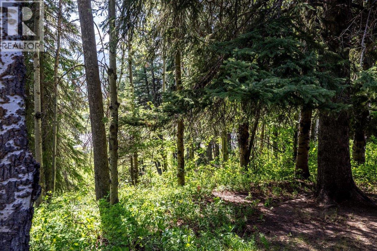 1286 Ponderosa Drive Unit# 313, Sparwood, British Columbia  V0B 2G2 - Photo 29 - 10389599