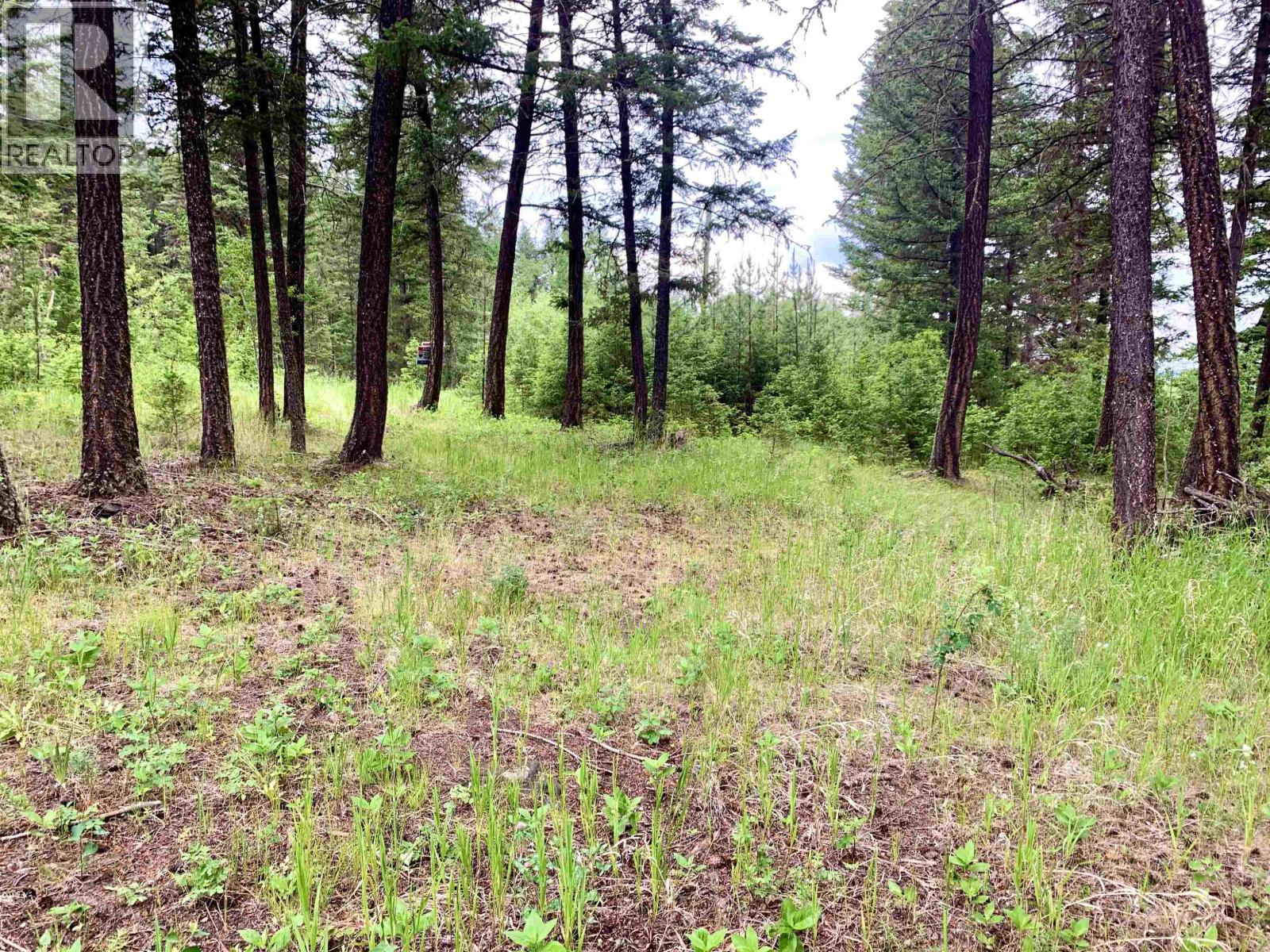 3340 Wright Station Road, Lac La Hache, British Columbia  V0K 1T1 - Photo 3 - R3128671