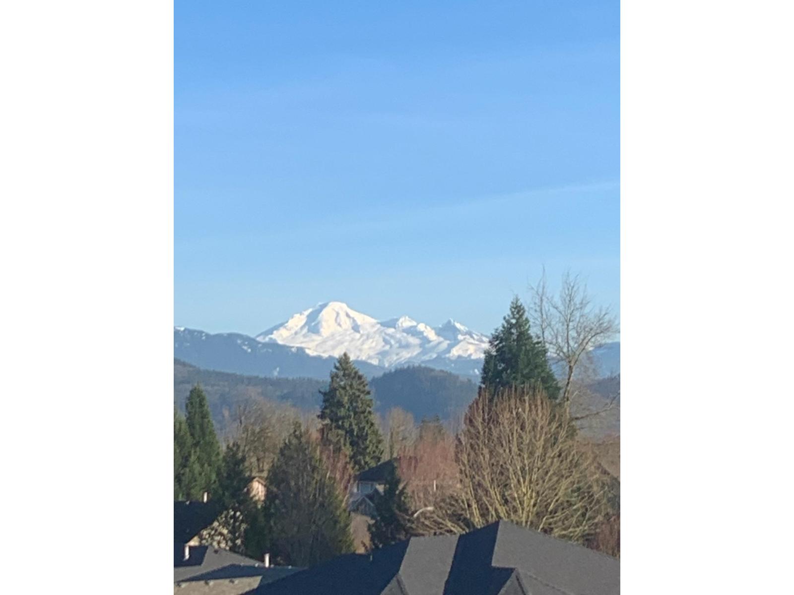 33764 Blueberry Drive, Mission, British Columbia  V2V 7A1 - Photo 31 - R3129154