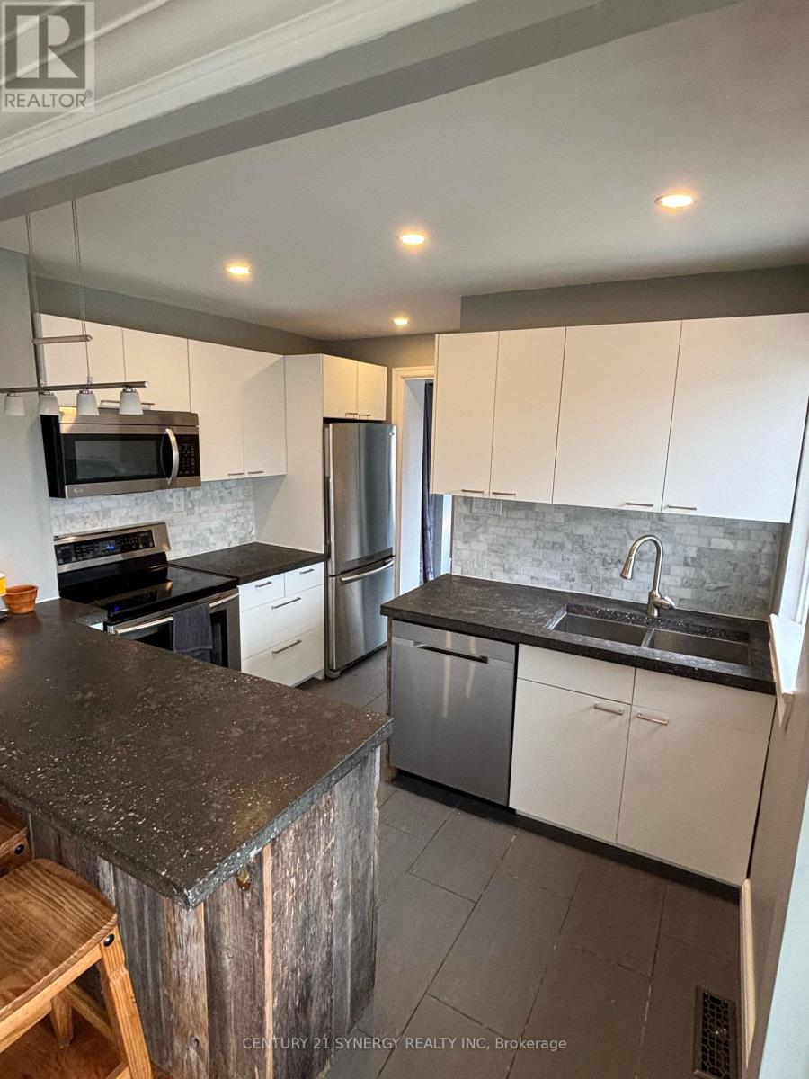 241 Bradley Avenue, Ottawa, Ontario  K1L 7G8 - Photo 11 - X13223696