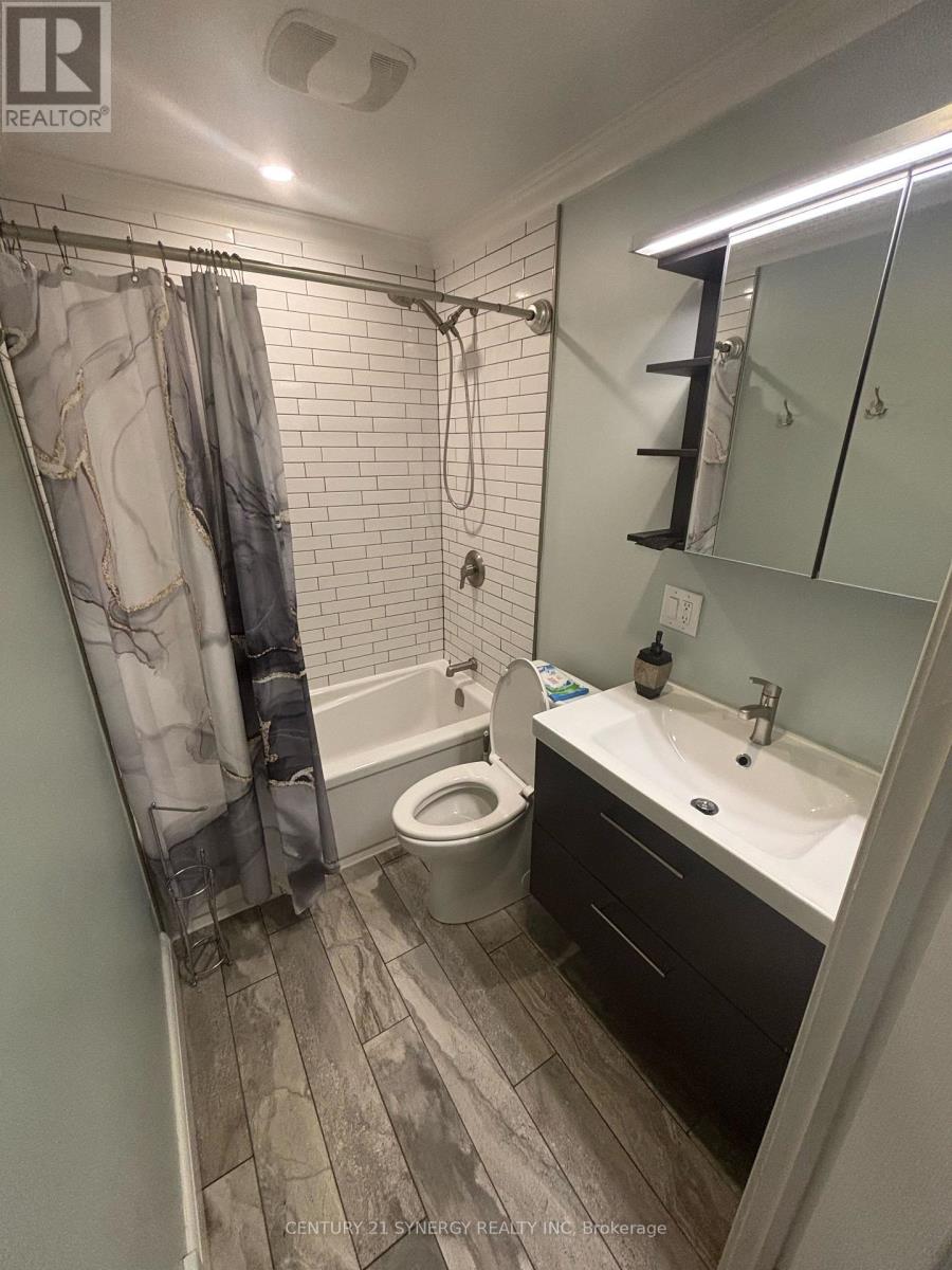 241 Bradley Avenue, Ottawa, Ontario  K1L 7G8 - Photo 8 - X13223696