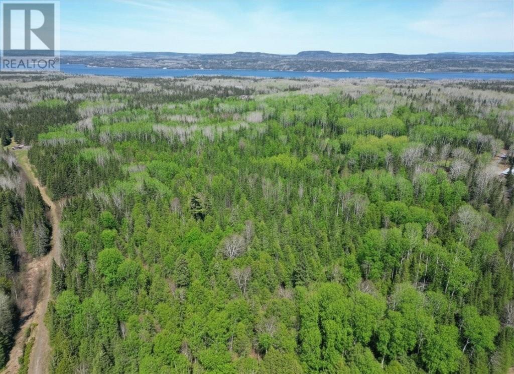 Pcl 19519 Cameron Falls Road, Nipigon, Ontario  P0T 2J0 - Photo 1 - TB2601295