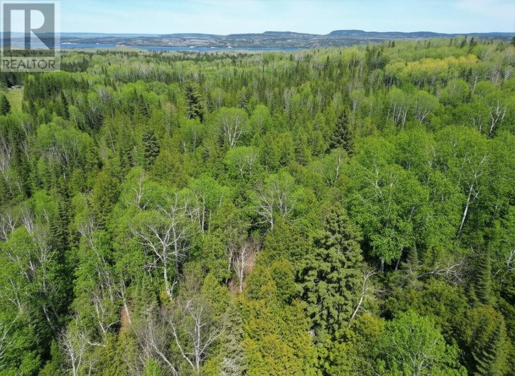 Pcl 19519 Cameron Falls Road, Nipigon, Ontario  P0T 2J0 - Photo 10 - TB2601295