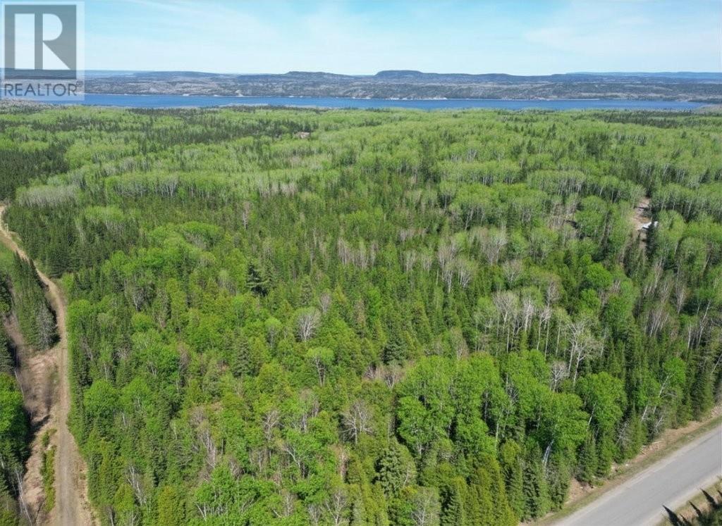 Pcl 19519 Cameron Falls Road, Nipigon, Ontario  P0T 2J0 - Photo 15 - TB2601295