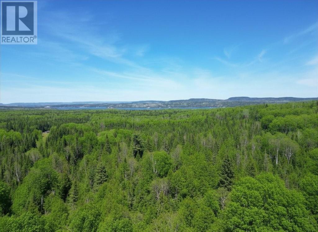 Pcl 19519 Cameron Falls Road, Nipigon, Ontario  P0T 2J0 - Photo 2 - TB2601295