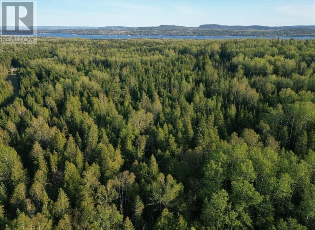 Pcl 19519 Cameron Falls Road, Nipigon, Ontario  P0T 2J0 - Photo 4 - TB2601295