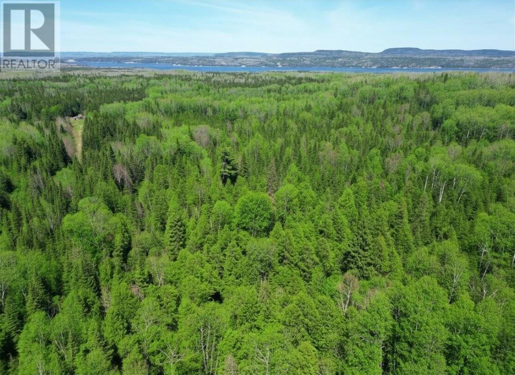 Pcl 19519 Cameron Falls Road, Nipigon, Ontario  P0T 2J0 - Photo 6 - TB2601295