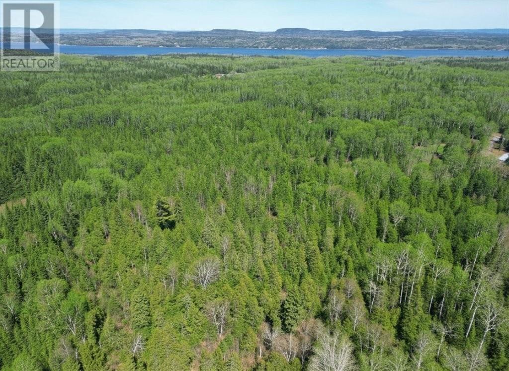 Pcl 19519 Cameron Falls Road, Nipigon, Ontario  P0T 2J0 - Photo 8 - TB2601295