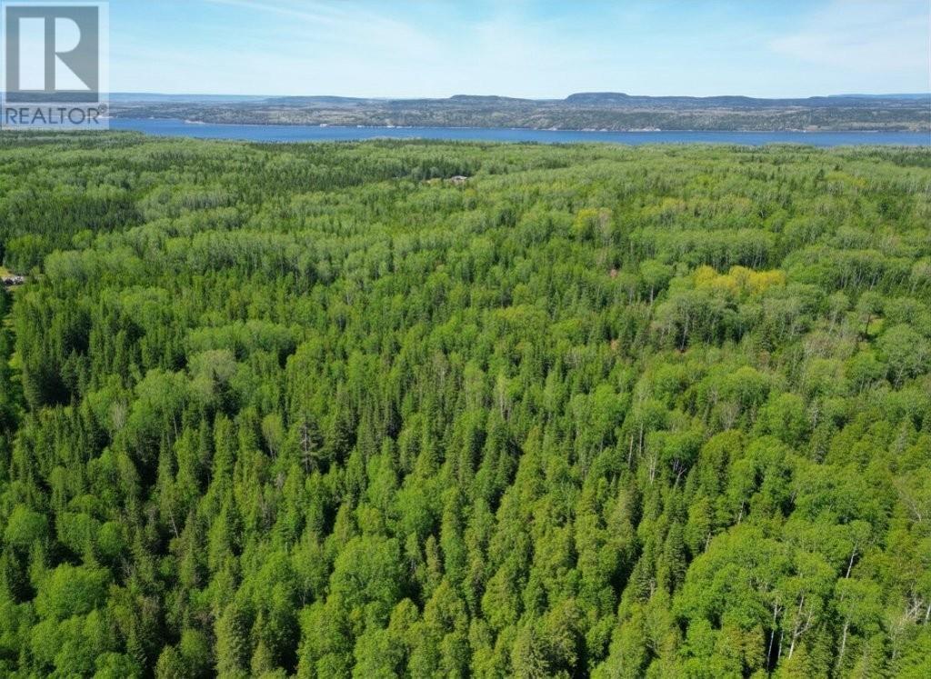 Pcl 19519 Cameron Falls Road, Nipigon, Ontario  P0T 2J0 - Photo 9 - TB2601295