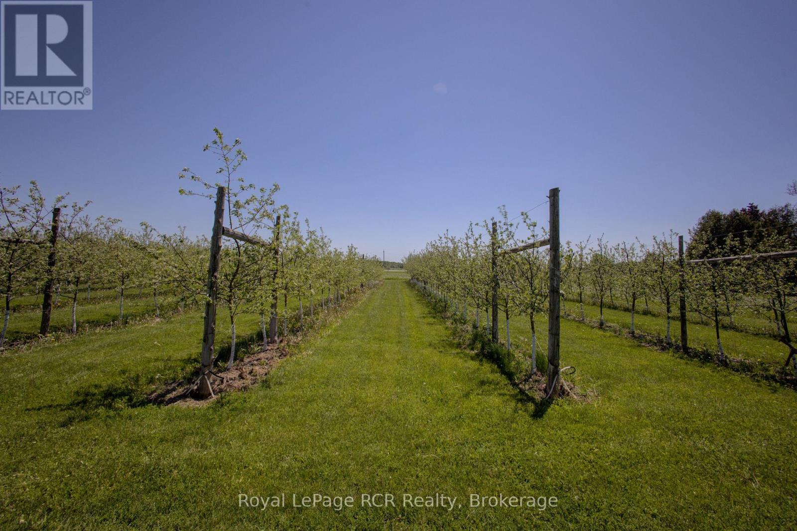 8220 Line 8, Wellington North, Ontario  N0G 2E0 - Photo 32 - X13223920