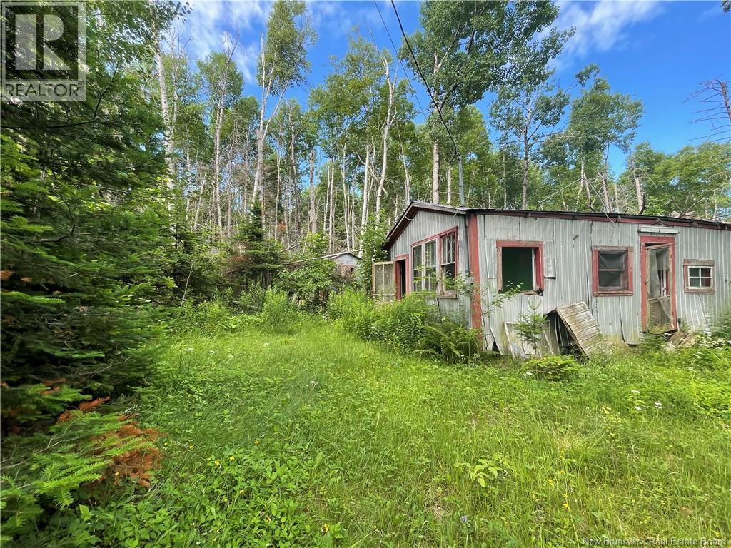 755 Cape Road, Newburg, New Brunswick  E7N 1W5 - Photo 10 - NB140680