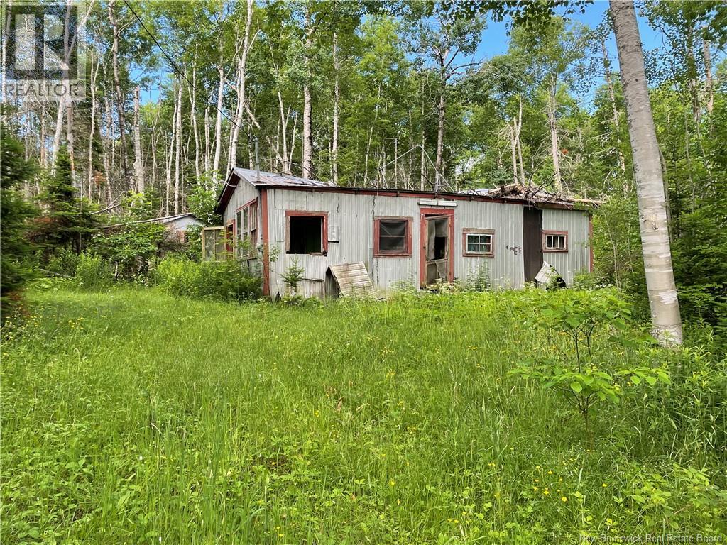 755 Cape Road, Newburg, New Brunswick  E7N 1W5 - Photo 11 - NB140680