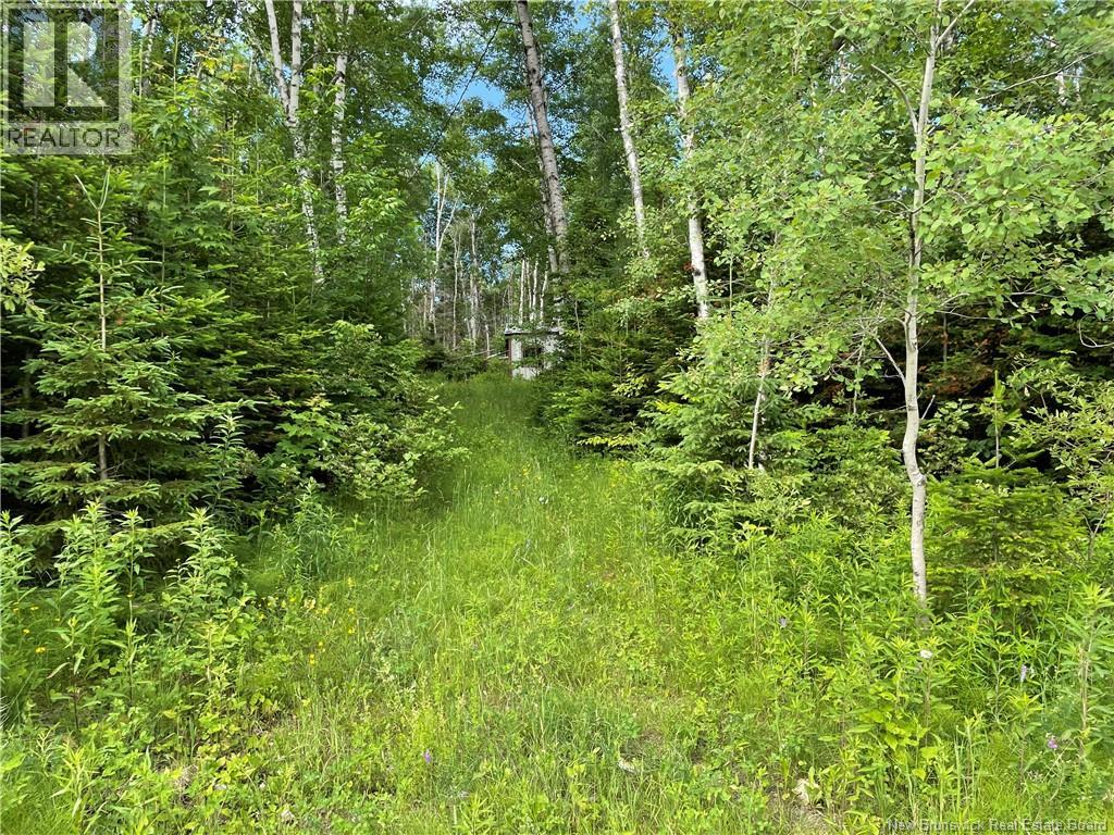 755 Cape Road, Newburg, New Brunswick  E7N 1W5 - Photo 4 - NB140680