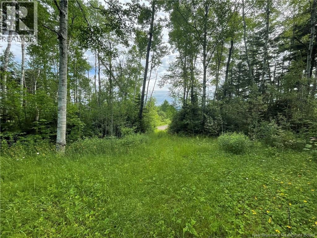 755 Cape Road, Newburg, New Brunswick  E7N 1W5 - Photo 5 - NB140680