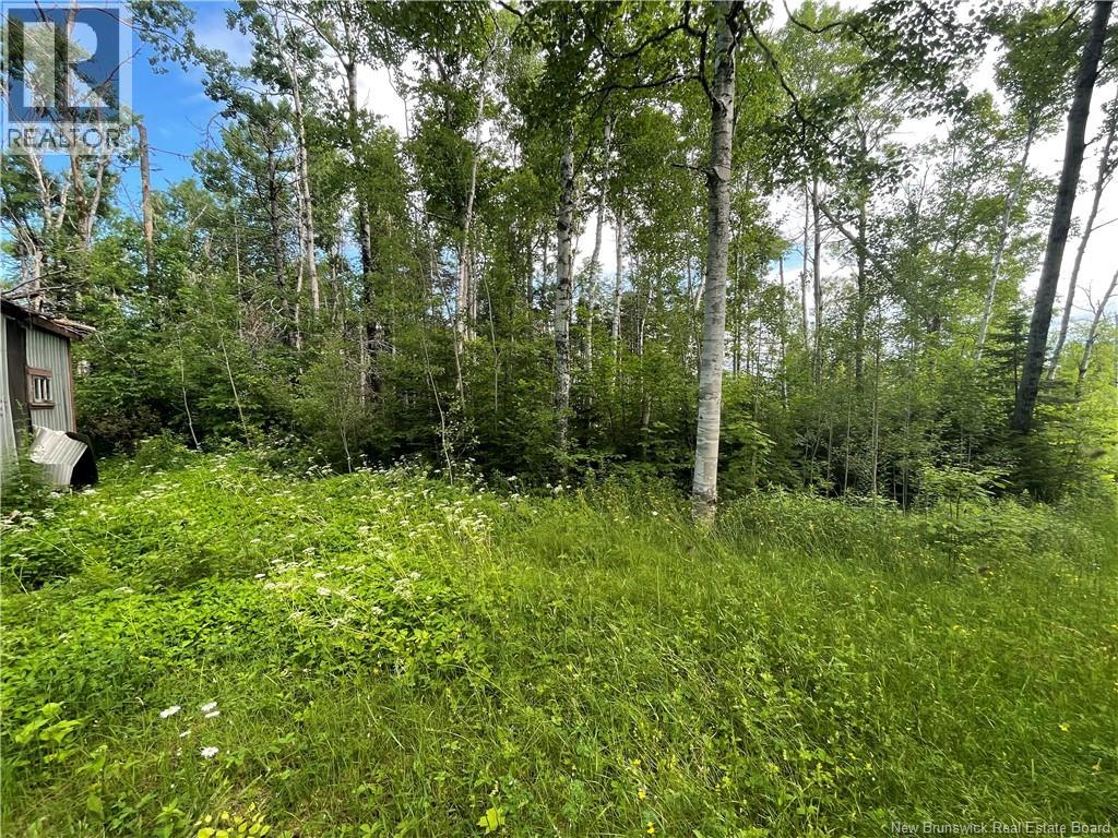 755 Cape Road, Newburg, New Brunswick  E7N 1W5 - Photo 6 - NB140680