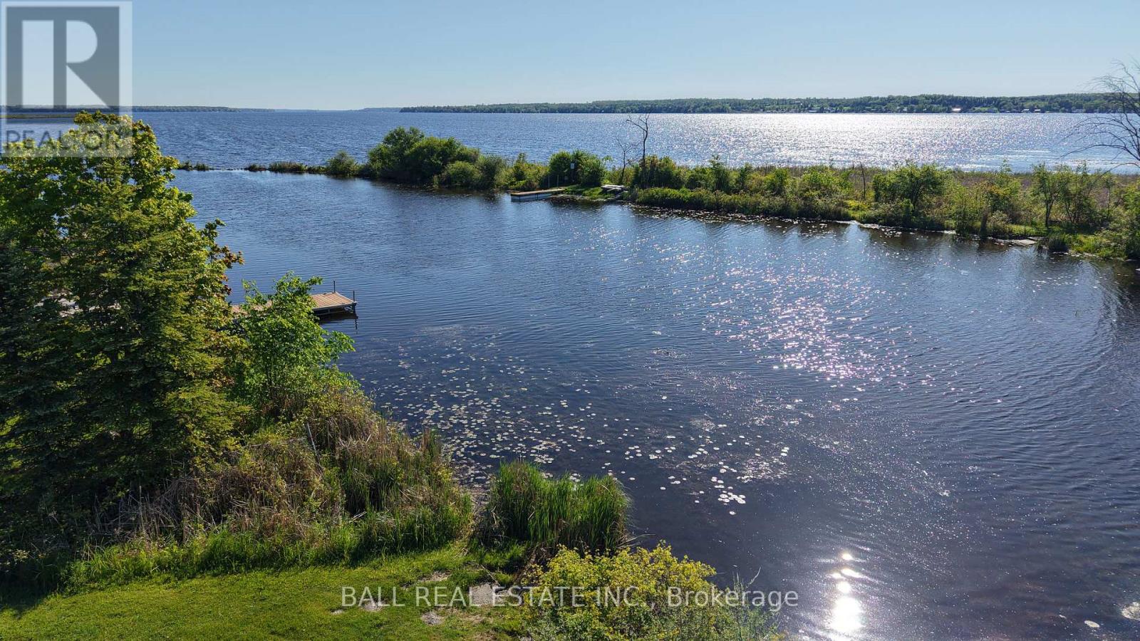 166 Victoria Drive, Kawartha Lakes, Ontario  K0M 1G0 - Photo 6 - X12952296