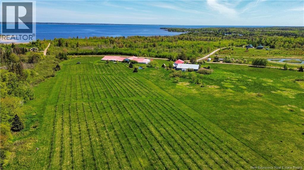 851 Route 970, Baie Verte, New Brunswick  E4M 1Y3 - Photo 4 - NB129268