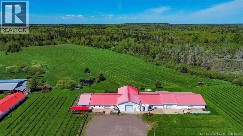 851 Route 970, Baie Verte, New Brunswick  E4M 1Y3 - Photo 43 - NB129268