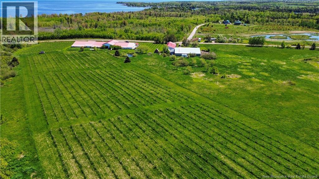 851 Route 970, Baie Verte, New Brunswick  E4M 1Y3 - Photo 47 - NB129268