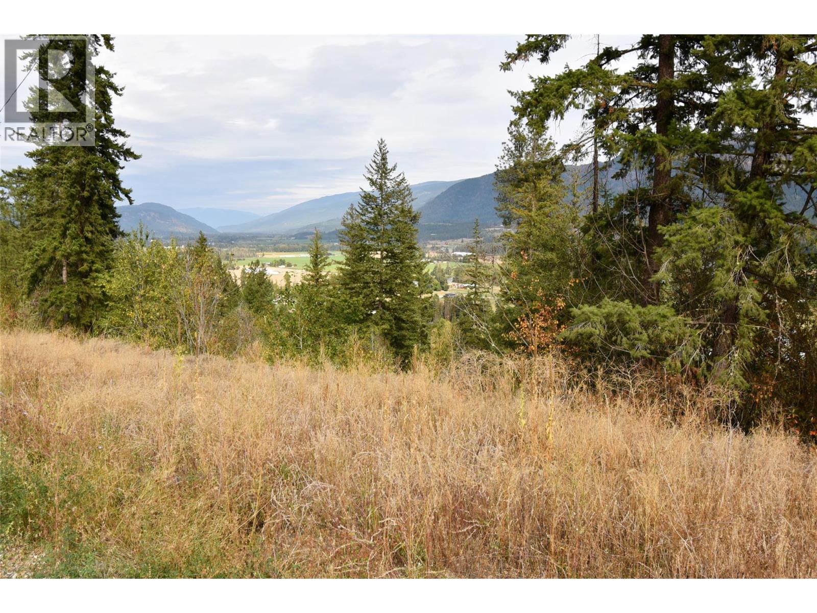 237 Crooked Pine Road, Enderby, British Columbia  V0E 1V1 - Photo 3 - 10340914