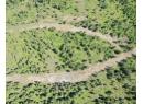 243 Crooked Pine Road, Enderby, BC V0E 1V1