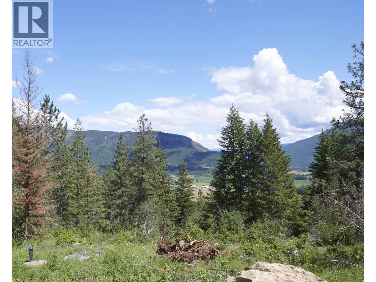 345 Oxbow Place, Enderby, British Columbia  V0E 1V1 - Photo 9 - 10340383