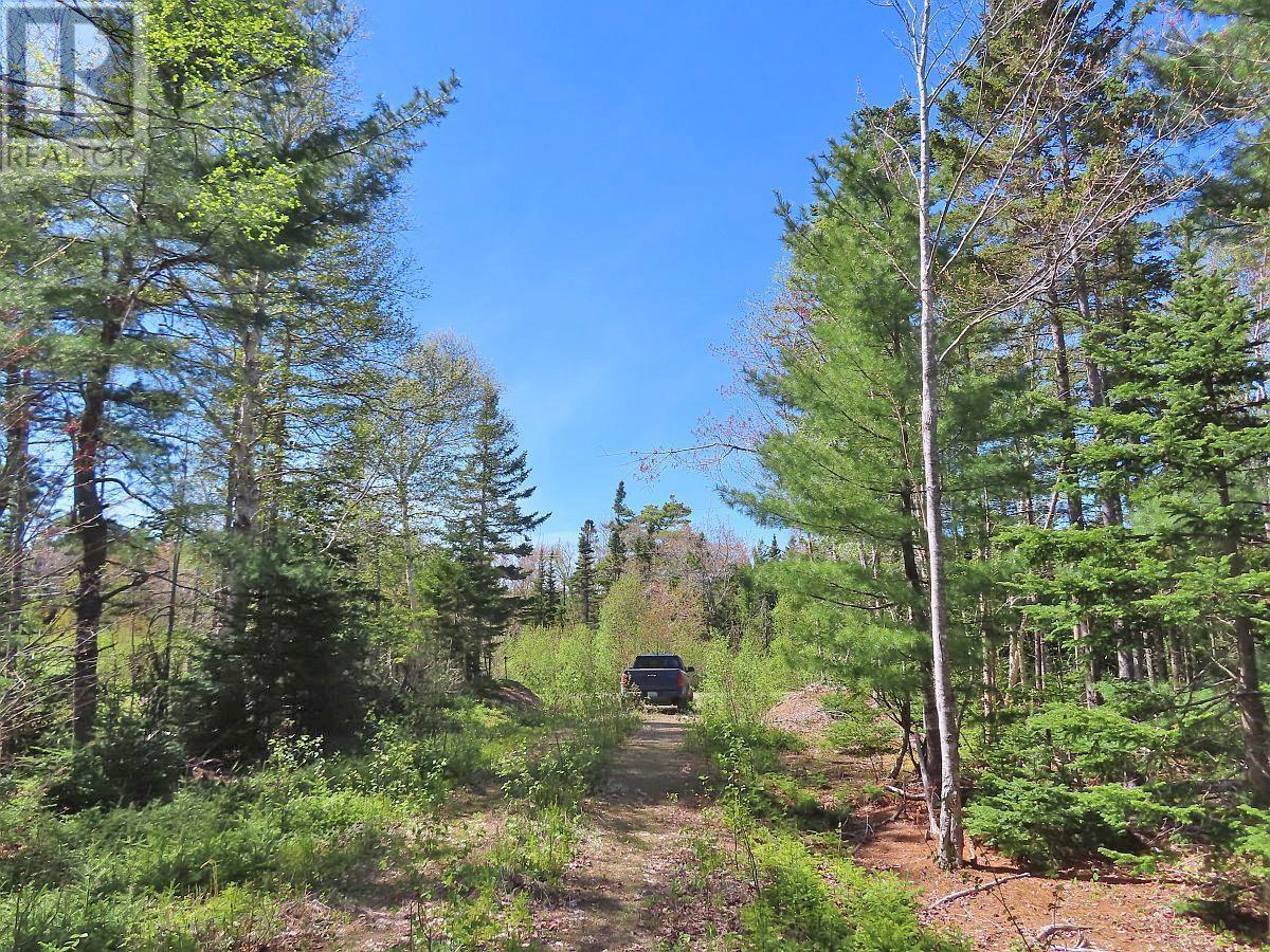 Lot 38 Redbird Drive, Malagawatch, Nova Scotia  B0E 2Y0 - Photo 18 - 202525152