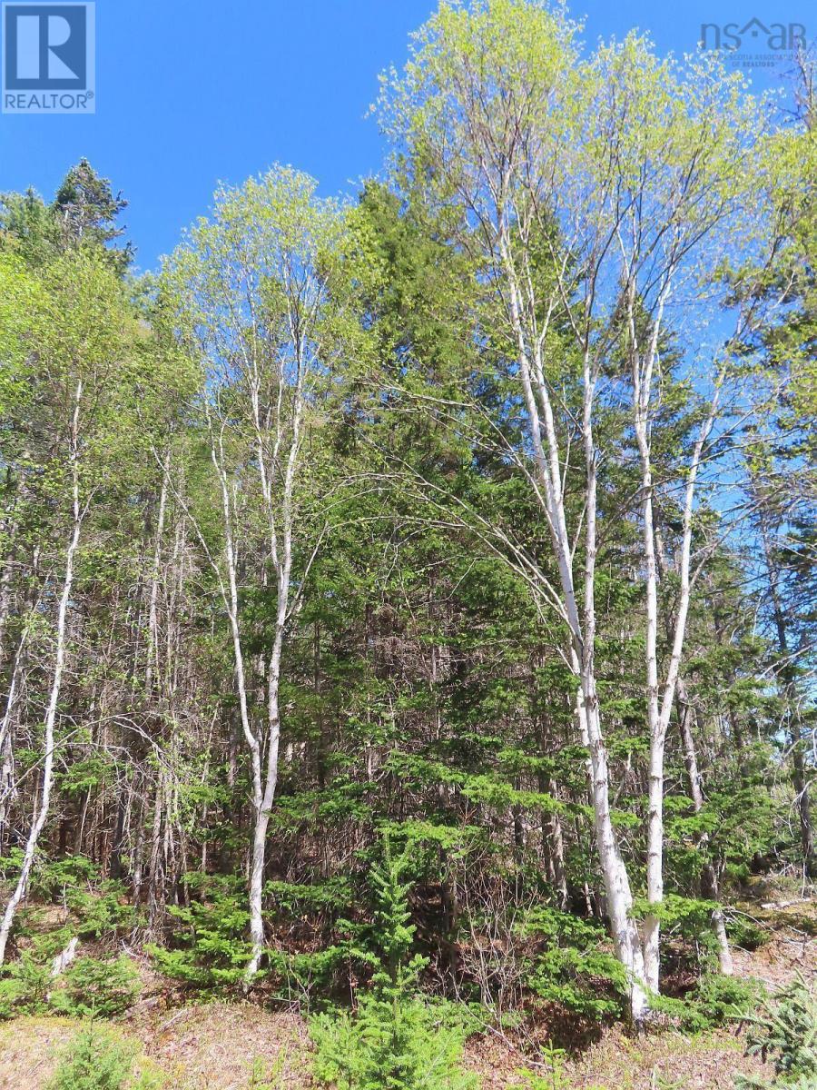 Lot 38 Redbird Drive, Malagawatch, Nova Scotia  B0E 2Y0 - Photo 20 - 202525152