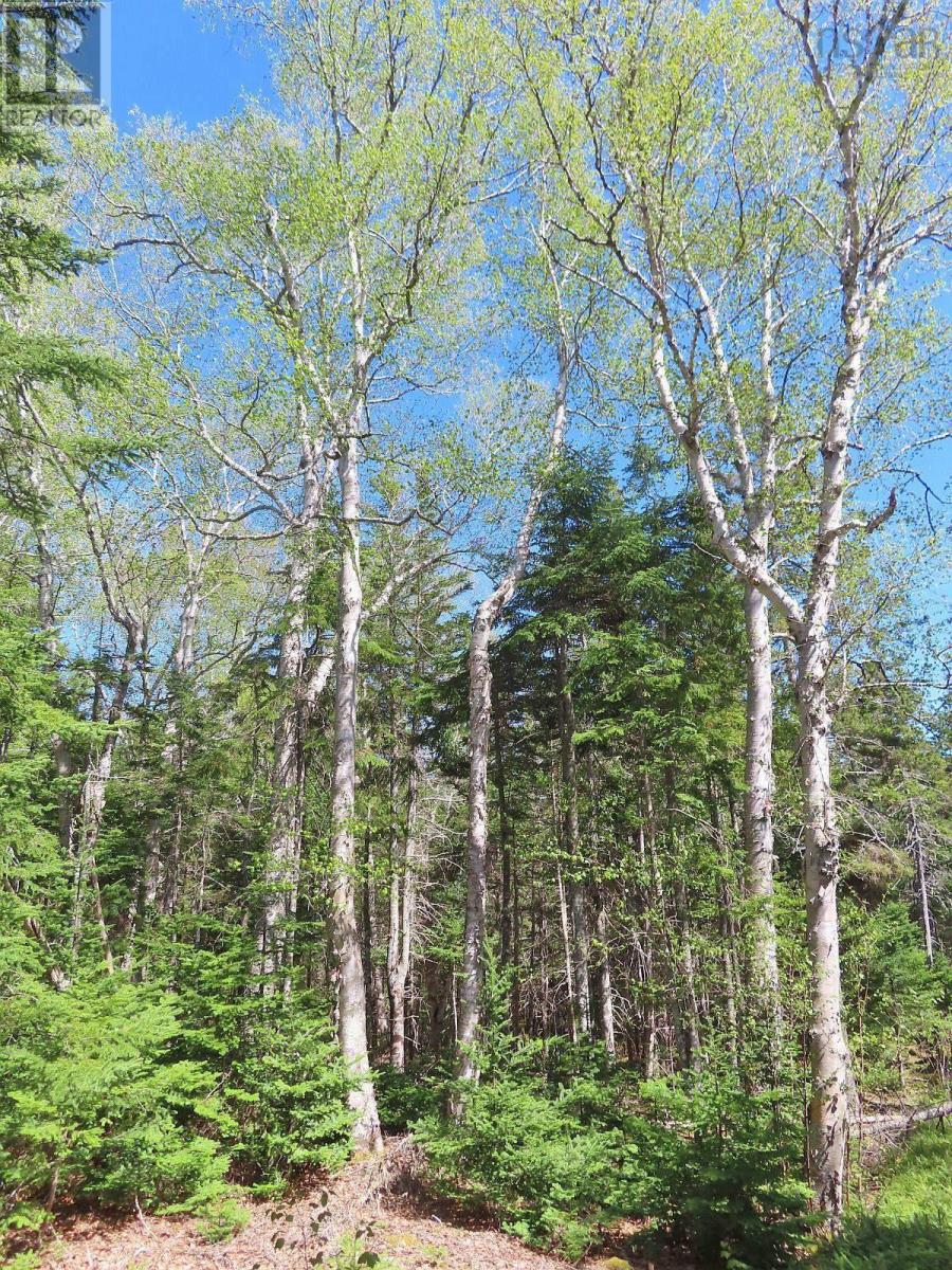 Lot 38 Redbird Drive, Malagawatch, Nova Scotia  B0E 2Y0 - Photo 19 - 202525152