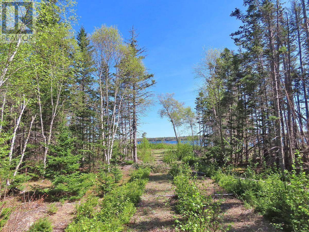Lot 38 Redbird Drive, Malagawatch, Nova Scotia  B0E 2Y0 - Photo 15 - 202525152