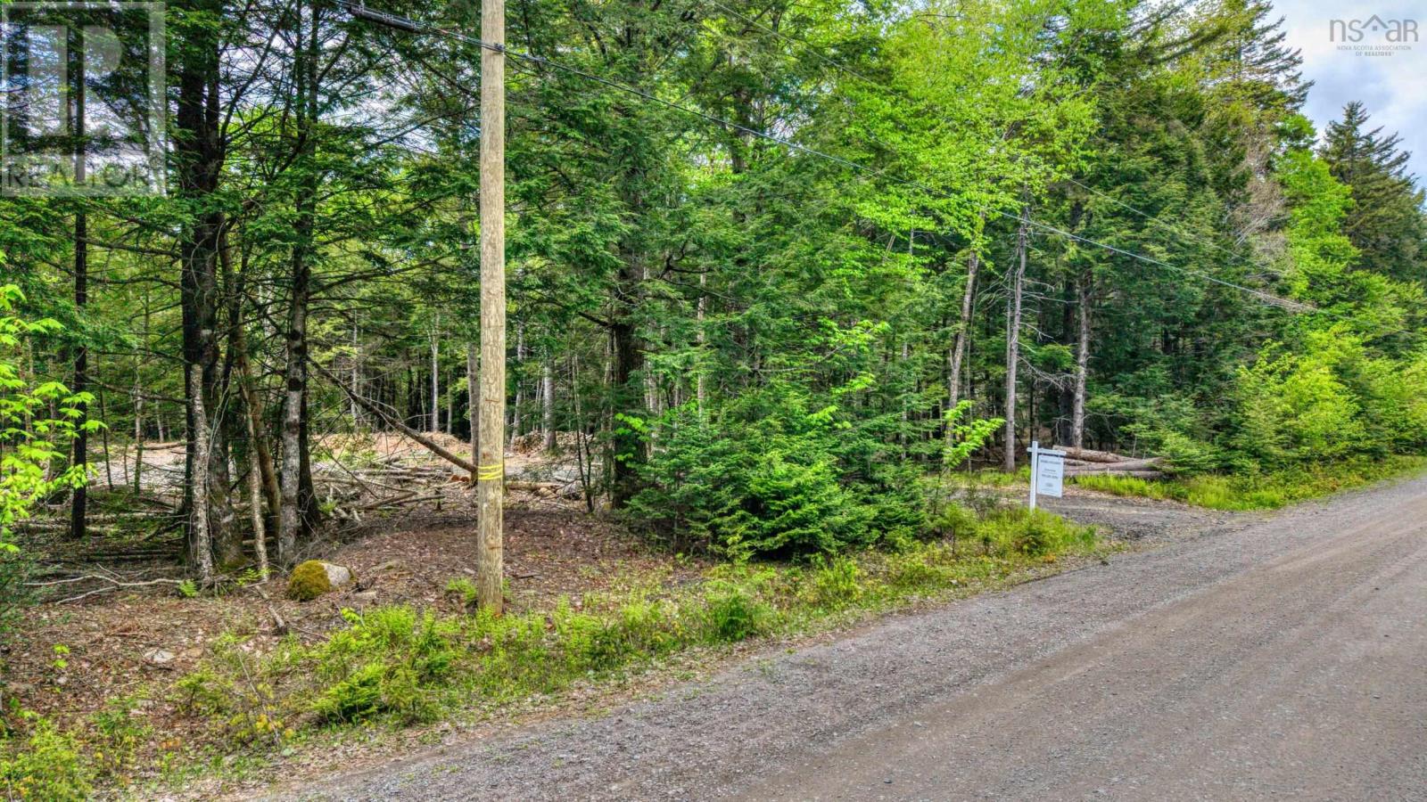 Lot 64c Hirtle Road, Maitland, Nova Scotia B0J 1E0 - Photo 6 - 202605873