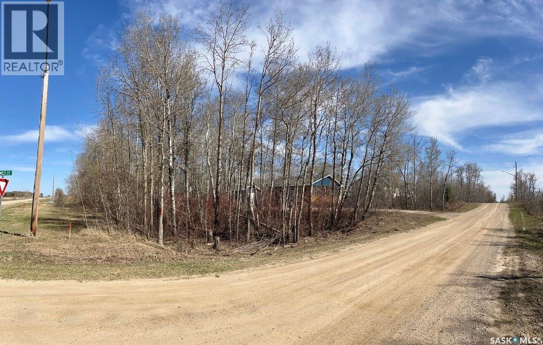 114 James Street, Good Spirit Lake, Saskatchewan  S0A 0L1 - Photo 2 - SK037160