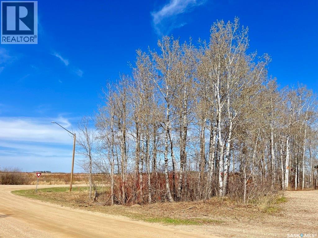114 James Street, Good Spirit Lake, Saskatchewan  S0A 0L1 - Photo 3 - SK037160