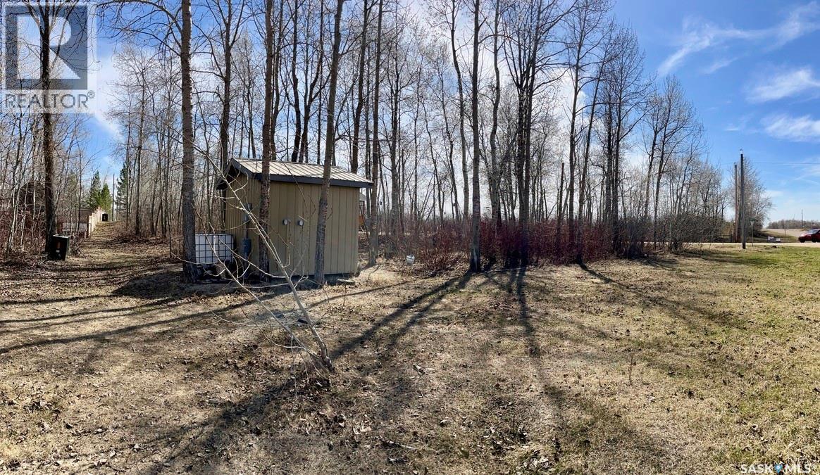 114 James Street, Good Spirit Lake, Saskatchewan  S0A 0L1 - Photo 5 - SK037160