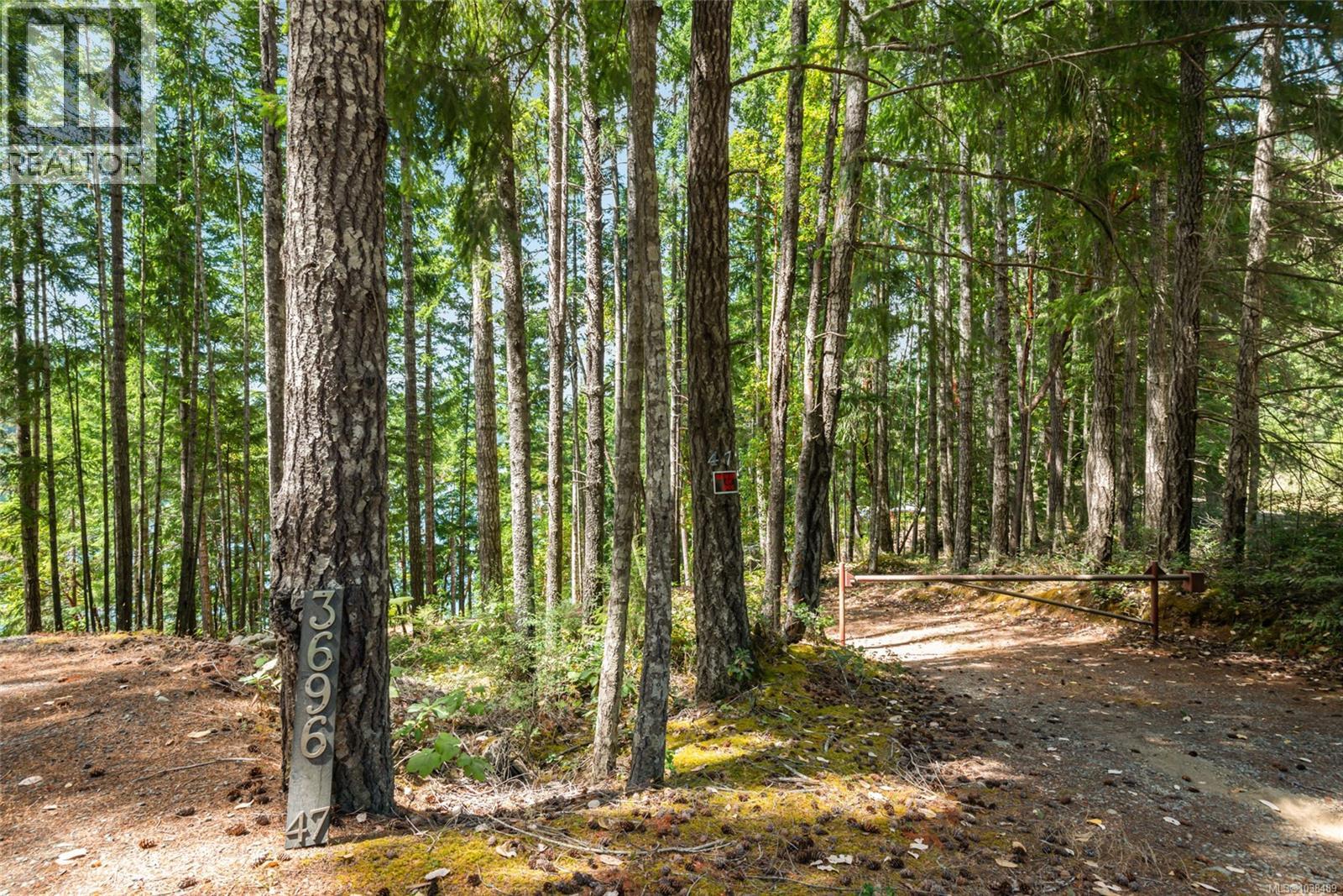 3696 Horne Lake Caves Rd, Qualicum Beach, British Columbia  V9K 2L7 - Photo 11 - 1038489