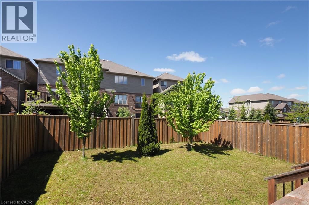 picture 41