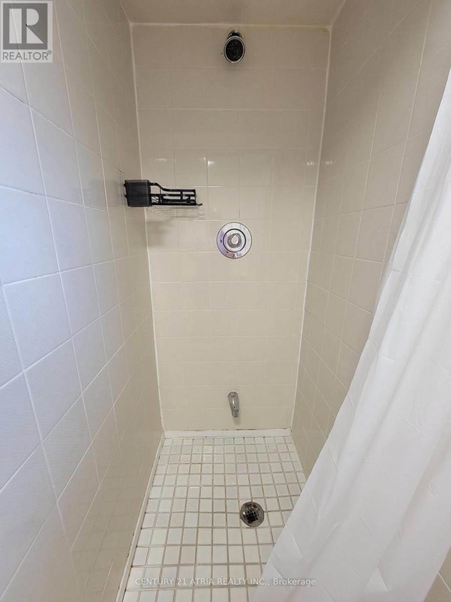 Basement - 339 Taylor Mills Drive N, Richmond Hill, Ontario  L4C 2T8 - Photo 10 - N13221888